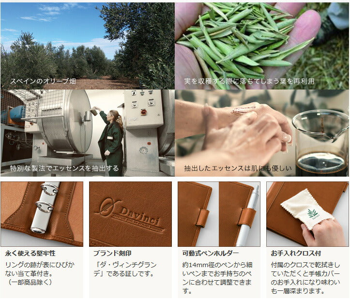 まとめ買い）レイメイ藤井 ダヴィンチ グランデ システム手帳 オリーブレザー A5スリムサイズ リング15mm ネイビー JDA3026K –  FUJIX