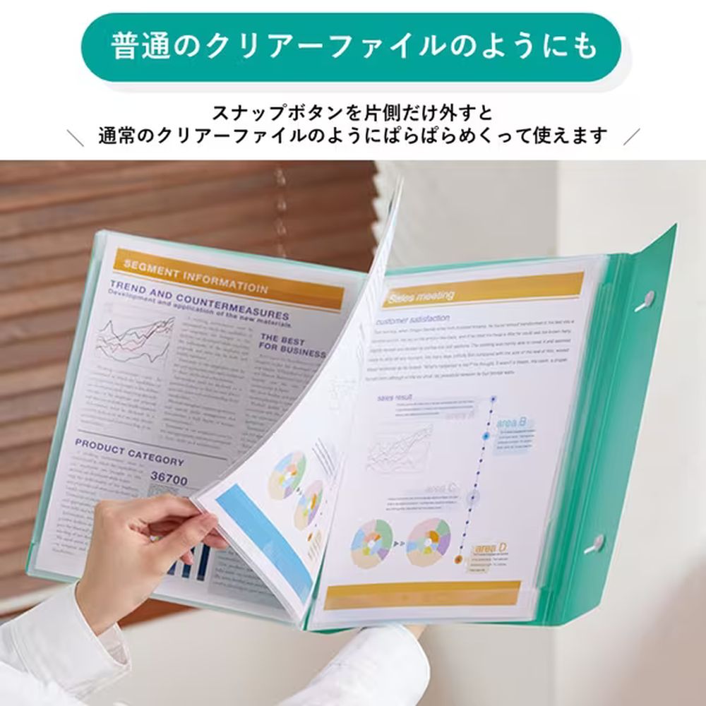 高評価！ 非売品 どこでもいっしょ デイリー 虫取り クリアファイル フォルダー・書類入れ