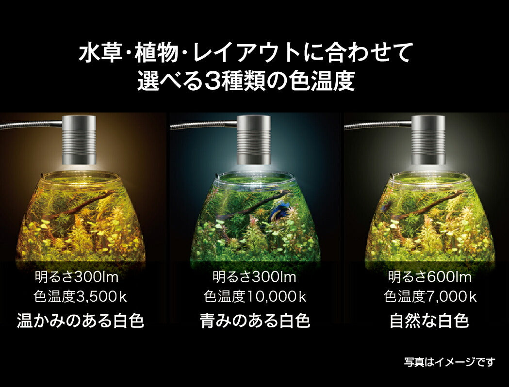 GEX(ジェックス) クリアLED リーフグロー EX 観賞魚用品 – FUJIX