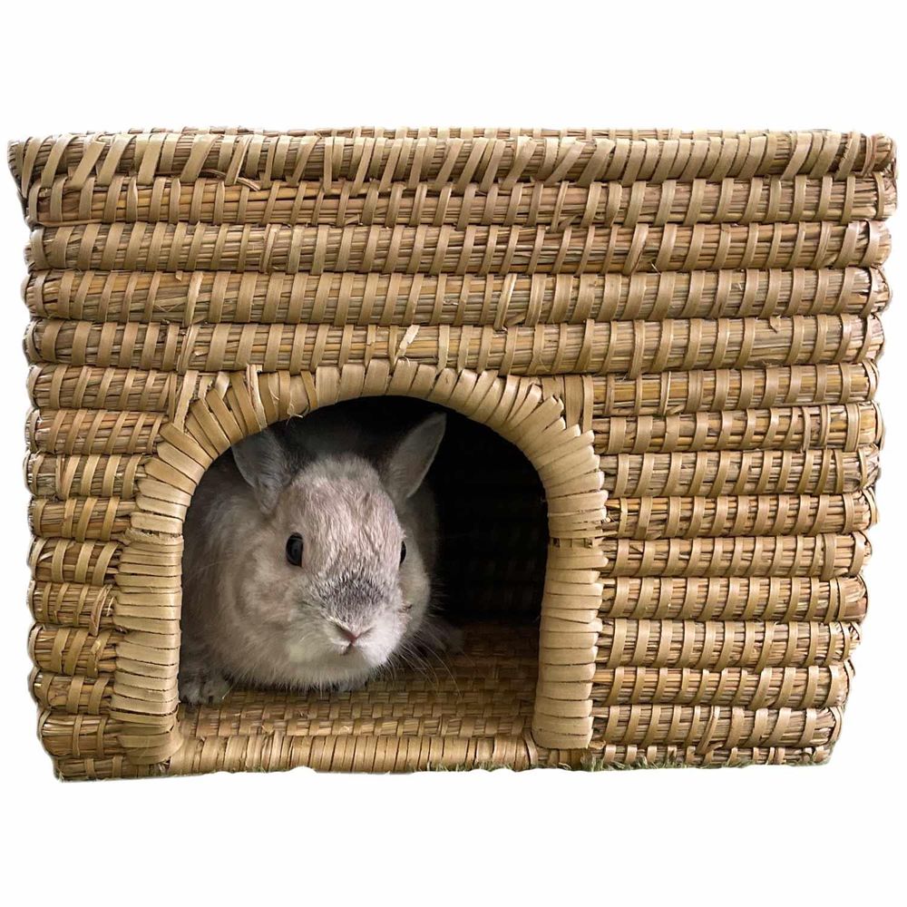 ミニアニマン 手編みのナチュハウス ビッグスクエア 小動物用品 – FUJIX