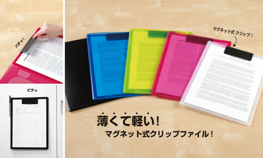 マグネプラス B6リーフレット