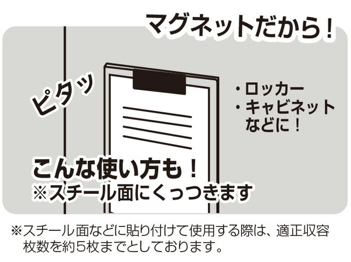 マグネプラス B6リーフレット