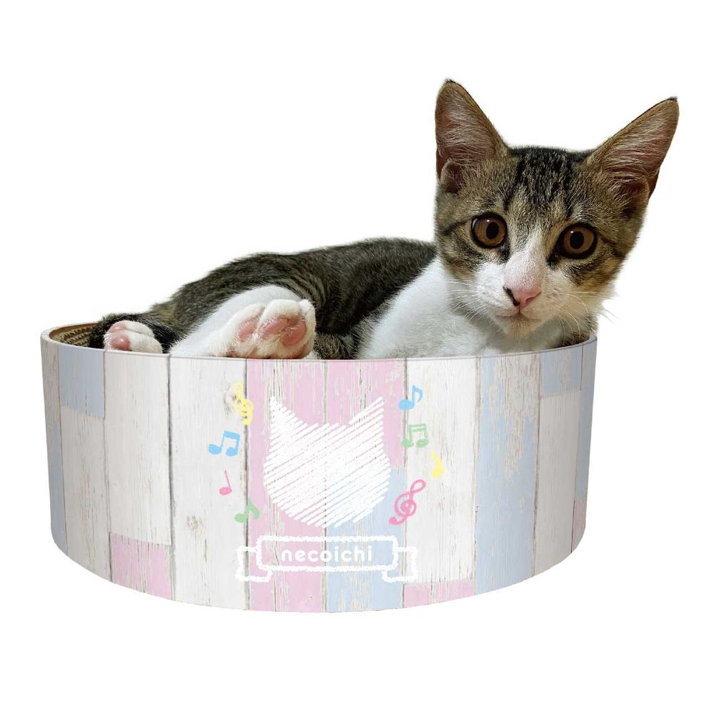 猫壱 バリバリボウル 子猫用 猫用 – FUJIX