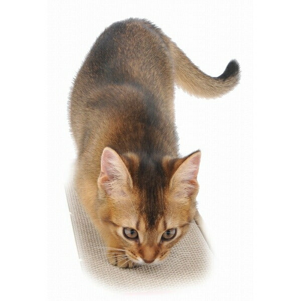 人気激安） 両面使えるつめみがき ダブルワイド 猫 爪とぎ ペティオ