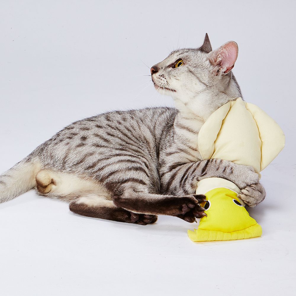 ペティオ けりぐるみ イカ 猫用おもちゃ – FUJIX