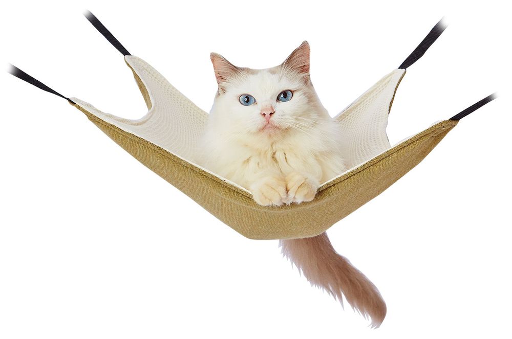 ペティオ 猫用 necocoキャットハンモック ワッフルニット ナチュラルカラー ペット用品 – FUJIX