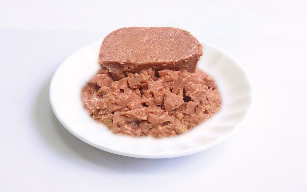 まとめ買い）イトウカンパニーリミテッド 猫の時間 アルミトレイ まぐろ しらす味 40g 猫用フード 〔×36〕 – FUJIX