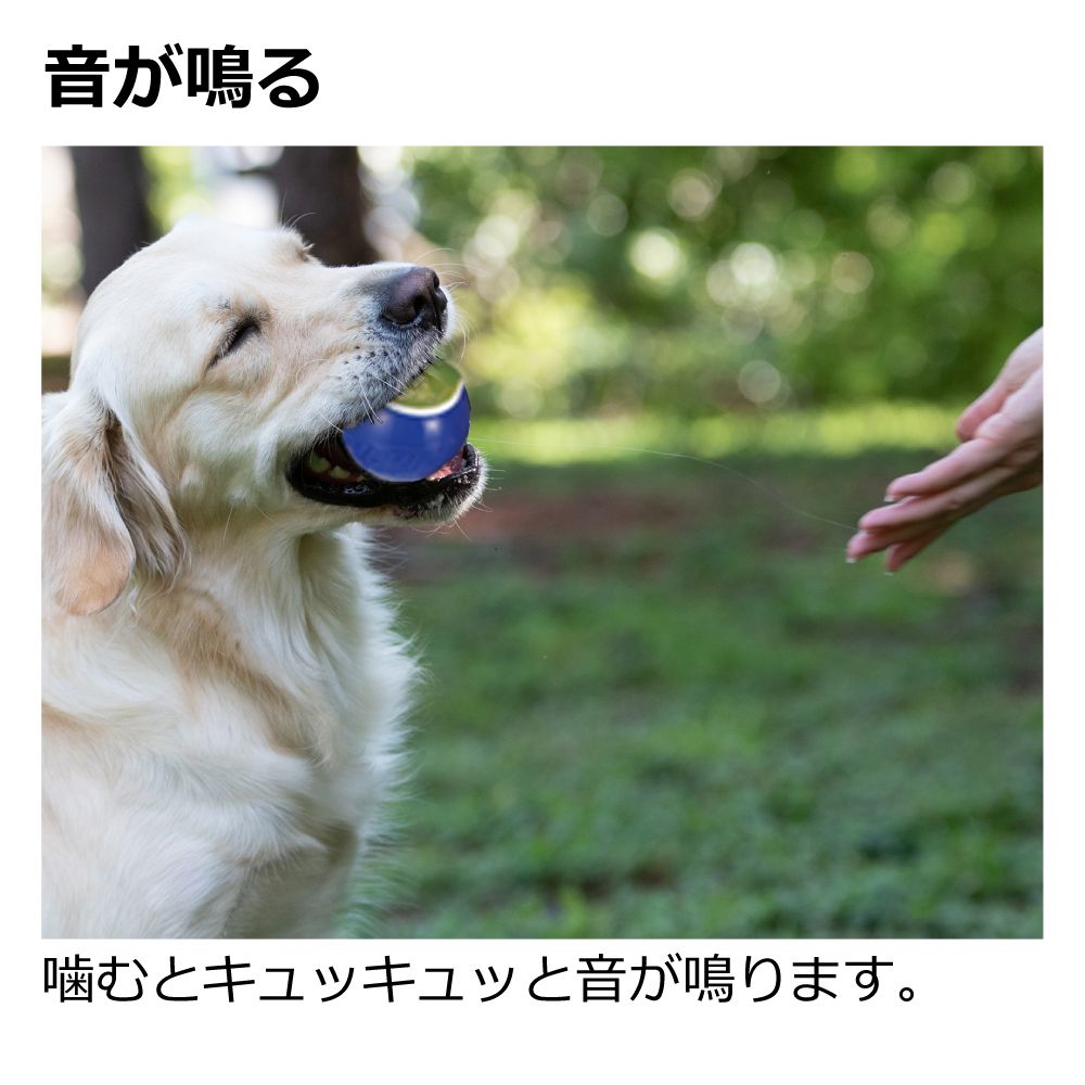 リッチェル ナーフドッグ ラバーボール 2.5i (2P) 犬用おもちゃ – FUJIX