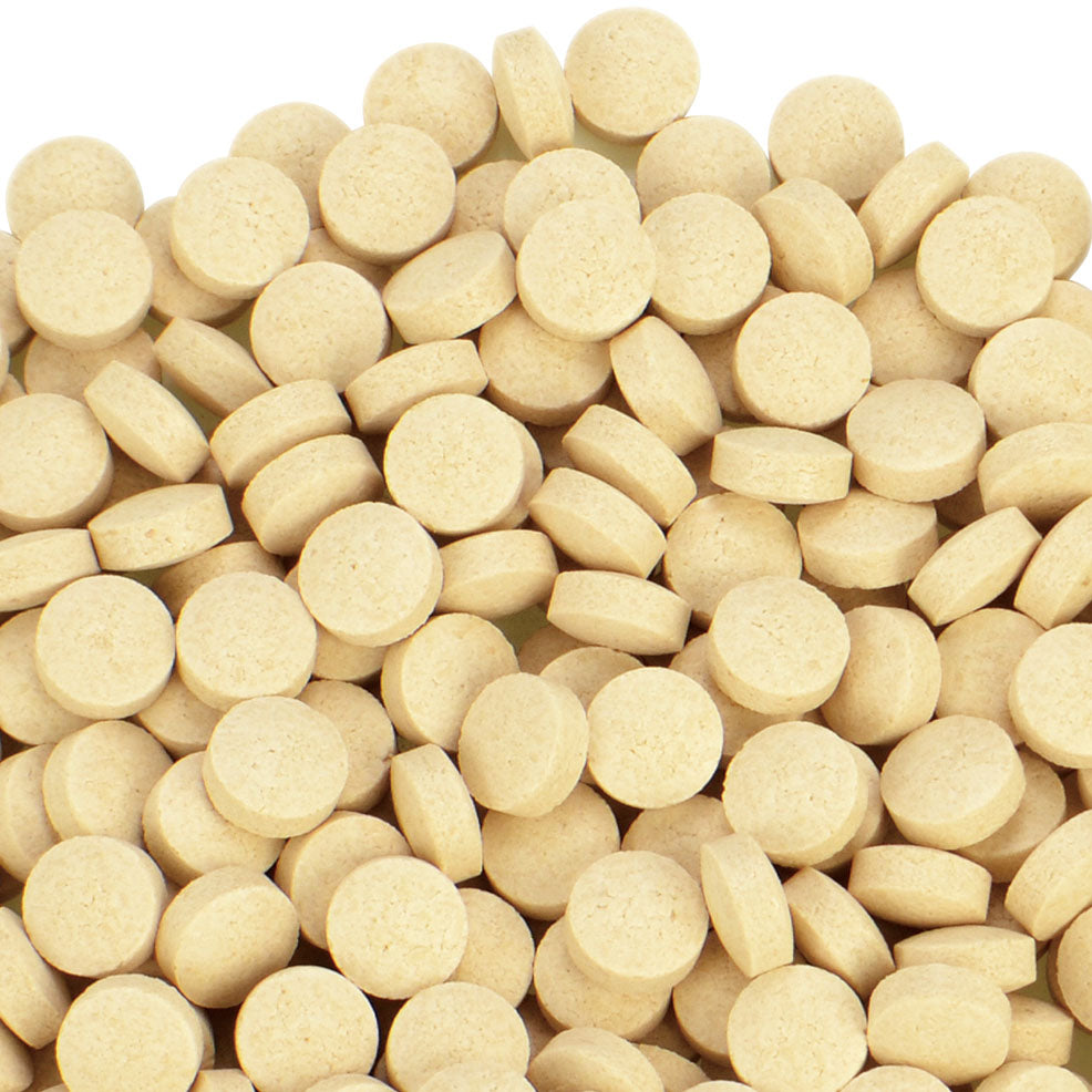三晃商会 ビタミンCサプリ お徳用 100g ウサギ用フード – FUJIX